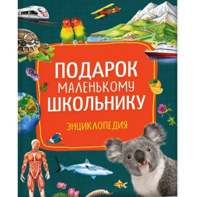 Большое фото товара - Подарок маленькому школьнику. Энциклопедия (Артюхова И.С.), (Росмэн/Росмэн-Пресс, 2026), 7Бц, c.224, 13-1013131. Вариант №1