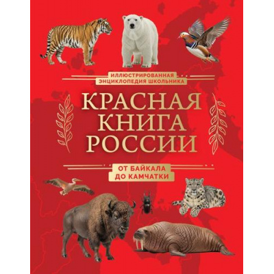 Большое фото товара - КраснаяКнигаЭнциклопедияРедкихВидов Добрыня Ю.М. Красная книга России. От Байкала до Камчатки. Иллюстрированная энциклопедия школьника, (Эксмо, 2026), 7Б, c.48, 13-1023791. Вариант №1