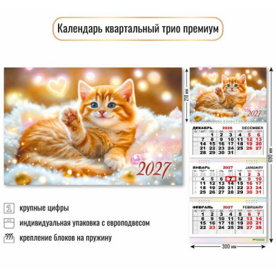 Большое фото товара - КалендарьКвартальный 2027 Кот (300*690, трехблочный, фольга, премиум) 10353, (Квадра), 13-1026084. Вариант №1