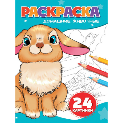 Большое фото товара - Раскраска Домашние животные (А5), (Проф-Пресс, 2025), Обл, c.24, 13-1028910. Вариант №1