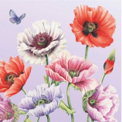 Большое фото товара - Салфетки бумажные Art Bouquet. Поле маков (33*33см, 3-слоя, 20шт.) 25084, (ООО "Русская бумага АЛЛ Продукция"), 13-1029743. Вариант №1