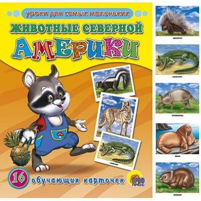 Большое фото товара - УчебныеПособияДляДошкольников Животные Северной Америки (16 обучающих карточек в папке) (карт.), (Проф-Пресс, 2014), К, c.16, 13-401958. Вариант №1