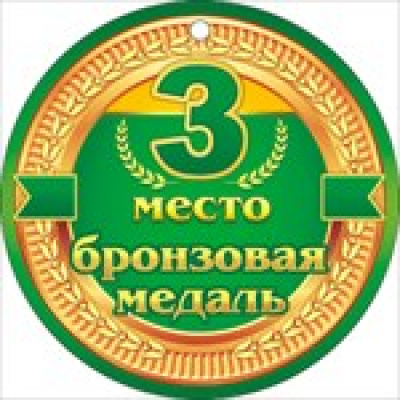 Большое фото товара - 66230 3 место. Бронзовая медаль, (ОткрытаяПланета), 13-678243. Вариант №1