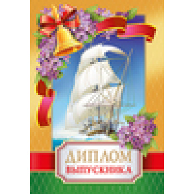 Большое фото товара - 5352060 Диплом выпускника (текст, фольга, папка), (Хорошо), 13-691754. Вариант №1