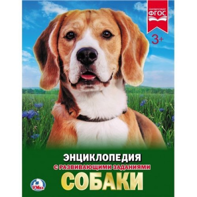 Большое фото товара - Энциклопедия Собаки (с развивающими заданиями), (Умка, 2025), 7Бц, c.48, 13-761102. Вариант №1
