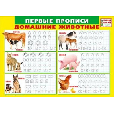 Большое фото товара - 070891 Плакат пиши-стирай "Первые прописи. Домашние животные" (А4, текст), (МирПоздр), 13-815632. Вариант №1