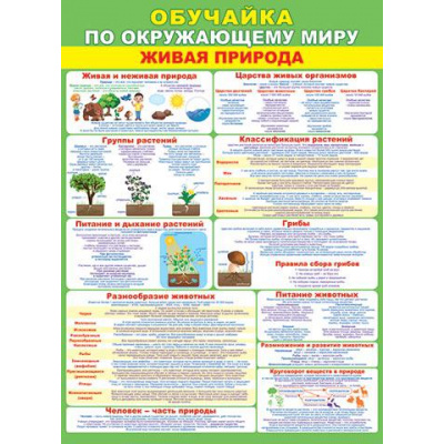 Большое фото товара - 002491/002000 Плакат "Обучайка по окружающему миру" (697*505мм, текст), (МирОткр), 13-835523. Вариант №1