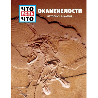 Большое фото товара - ЧтоЕстьЧто Окаменелости. Летопись в камне (Баур М.), (Эксмо,Детство, 2021), 7Бц, c.48, 13-869580. Вариант №1