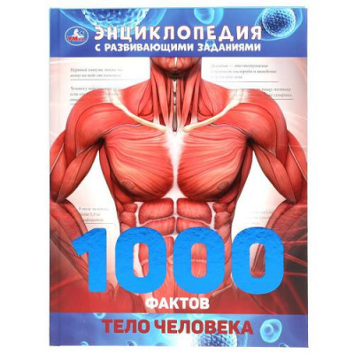 Большое фото товара - Энциклопедия Тело человека. 1000 фактов (с развивающими заданиями) (А4), (Умка, 2022), 7Б, c.96, 13-872108. Вариант №1