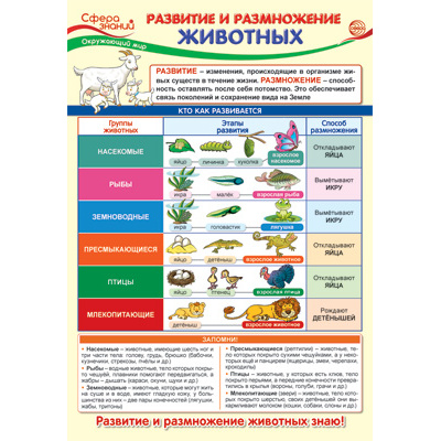 Большое фото товара - Плакат Окружающий мир в начальной школе. Развитие и размножение животных (А3) (ПО-13971), (Сфера), 13-883416. Вариант №1