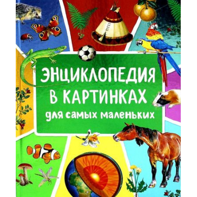 Большое фото товара - Энциклопедия в картинках для самых маленьких, (Росмэн/Росмэн-Пресс, 2022), 7Бц, c.128, 13-900763. Вариант №1