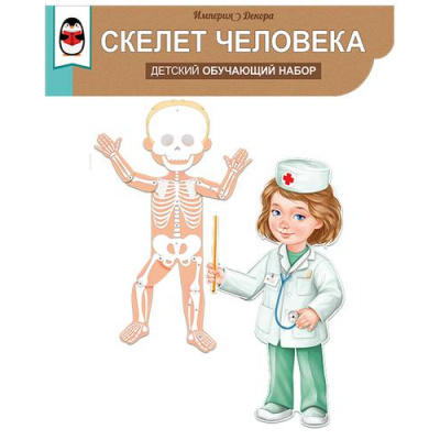 Большое фото товара - 5938400 Обучающий набор "Скелет человека" (2 плаката, А1, подвижные детали, вырубка, на скотче), (ИмперияПоздр), 13-909821. Вариант №1