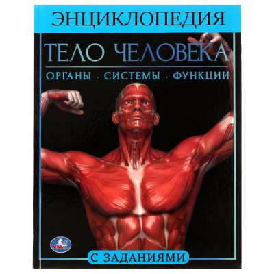 Большое фото товара - Энциклопедия Тело человека (с заданиями) (А4), (Умка, 2023), 7Бц, c.48, 13-916095. Вариант №1