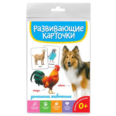 Большое фото товара - РазвивающиеКарточки Домашние животные (20 карточек) (от 0 лет), (Проф-Пресс, 2023), К, 13-947196. Вариант №1