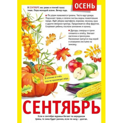 Большое фото товара - 071502 Плакат "12 месяцев. Сентябрь" (А4, текст), (МирПоздр), 13-948903. Вариант №1