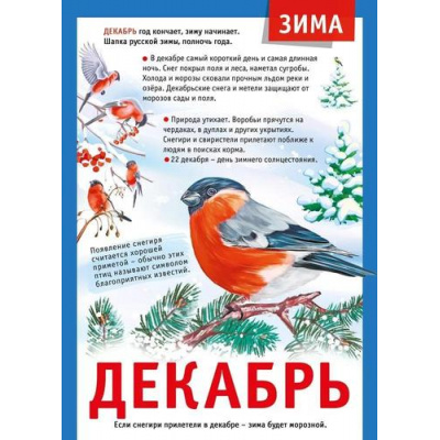 Большое фото товара - 071505 Плакат "12 месяцев. Декабрь" (А4, текст), (МирПоздр), 13-948906. Вариант №1