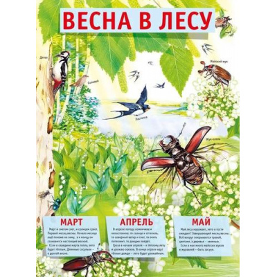Большое фото товара - 071527 Плакат "Весна в лесу" (43*59, текст), (МирПоздр), 13-972651. Вариант №1