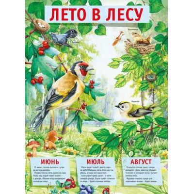 Большое фото товара - 071528 Плакат "Лето в лесу" (43*59, текст), (МирПоздр), 13-972652. Вариант №1
