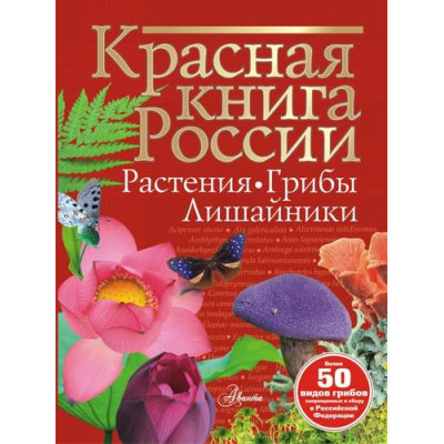 Большое фото товара - КраснаяКнигаНашейПланеты Красная книга России. Растения Грибы Лишайники (Пескова И.М.), (АСТ, Аванта, 2024), 7Б, c.128, 13-980099. Вариант №1