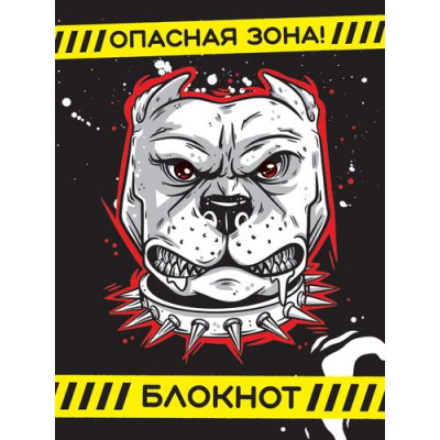 Большое фото товара - Блокнот пацана (черный) Б40-0972, (Проф-Пресс, 2024), Обл, c.80, 13-982198. Вариант №1