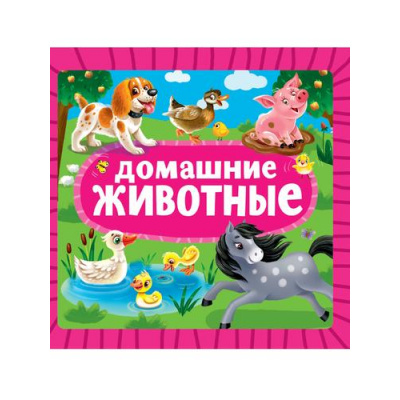 Большое фото товара - КнКартонка Домашние животные (цельнокрытая), (Проф-Пресс, 2025), К, c.10, 13-992389. Вариант №1